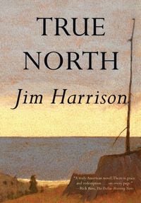 Produktbild: True North