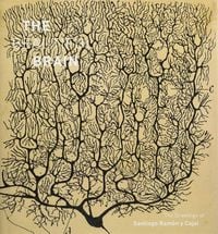 Produktbild: The Beautiful Brain