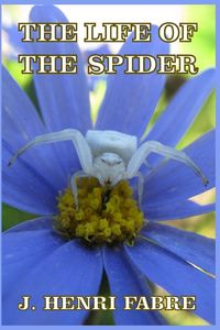 Produktbild: The Life of the Spider
