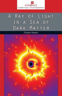 Produktbild: A Ray of Light in a Sea of Dark Matter