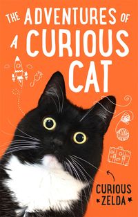 Produktbild: The Adventures of a Curious Cat