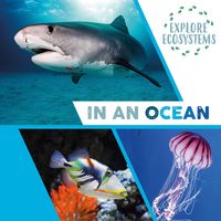 Produktbild: Explore Ecosystems: In an Ocean