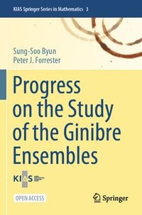 Produktbild: Progress on the Study of the Ginibre Ensembles