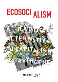 Produktbild: Ecosocialism