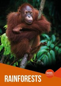 Produktbild: Rainforests