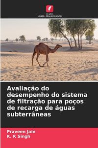 Produktbild: Avalia&ccedil;&atilde;o do desempenho do sistema de filtra&ccedil;&atilde;o para po&ccedil;os de recarga de &aacute;guas subterr&acirc;neas