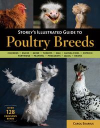 Produktbild: Storey's Illustrated Guide to Poultry Breeds