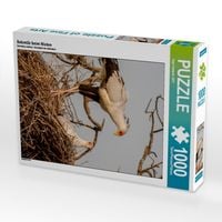 Produktbild: CALVENDO Puzzle Sekret&auml;r beim Nisten | 1000 Teile Lege-Gr&ouml;&szlig;e 64x48cm Foto-Puzzle f&uuml;r gl&uuml;ckliche Stunden