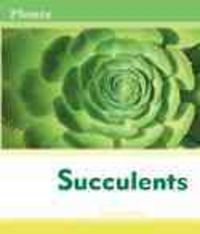 Produktbild: Succulents