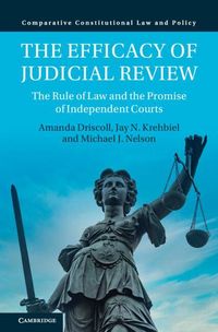 Produktbild: The Efficacy of Judicial Review