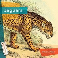 Produktbild: Jaguars