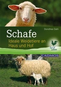 Produktbild: Schafe