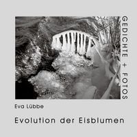 Produktbild: Evolution der Eisblumen