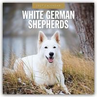 Produktbild: White German Shepherds &ndash; Wei&szlig;er Deutscher Sch&auml;ferhund 2027 &ndash; 16-Monatskalender