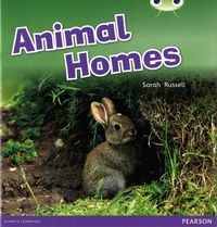 Produktbild: Bug Club Guided Non Fiction Reception Pink B Animal Homes