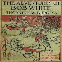 Produktbild: The Adventures of Bob White