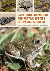 Produktbild: Thomson, R: California Amphibian and Reptile Species of Spec