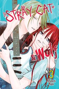 Produktbild: Stray Cat & Wolf, Vol. 3
