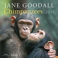 Produktbild: Jane Goodall Chimpanzees