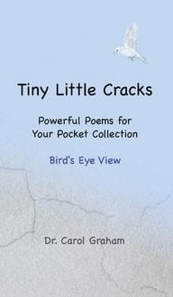 Produktbild: Tiny Little Cracks