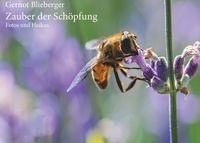 Produktbild: Zauber der Sch&ouml;pfung