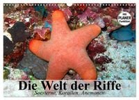 Produktbild: Die Welt der Riffe. Seesterne, Korallen, Anemonen (Wandkalender 2026 DIN A3 quer), CALVENDO Monatskalender