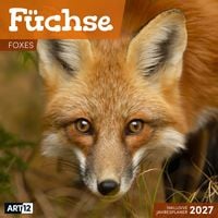 Produktbild: F&uuml;chse Kalender 2027 - 30x30 - Art12