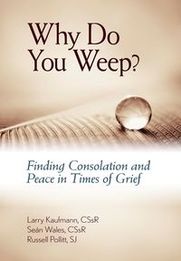 Produktbild: Why Do You Weep?