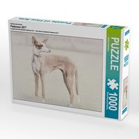 Produktbild: CALVENDO Puzzle Ein Motiv aus dem Kalender Podencos 2017 | 1000 Teile Lege-Gr&ouml;&szlig;e 64x48cm Foto-Puzzle f&uuml;r gl&uuml;ckliche Stunden