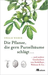 Produktbild: Die Pflanze, die gern Purzelb&auml;ume schl&auml;gt &hellip;