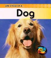 Produktbild: Life Cycle of a Dog