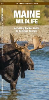 Produktbild: Maine Wildlife