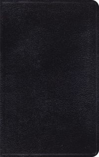 Produktbild: Classic Thinline Bible-Esv