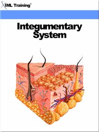 Produktbild: Integumentary System (Human Body)