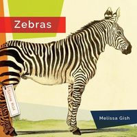 Produktbild: Zebras
