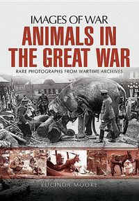 Bild vom Artikel Animals in the Great War vom Autor Lucinda Moore