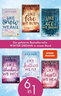 Produktbild: Die Winter Dreams Reihe (6in1 Bundle)