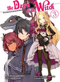 Produktbild: The Dawn of the Witch 3 (Light Novel)
