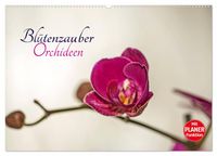 Produktbild: Bl&uuml;tenzauber Orchideen (Wandkalender 2026 DIN A2 quer), CALVENDO Monatskalender