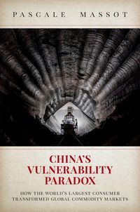 Produktbild: China's Vulnerability Paradox