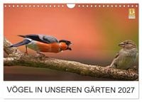 Produktbild: V&ouml;gel in unseren G&auml;rten 2027 (Wandkalender 2027 DIN A4 quer), CALVENDO Monatskalender