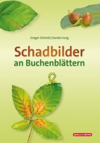 Produktbild: Schadbilder an Buchenbl&auml;ttern