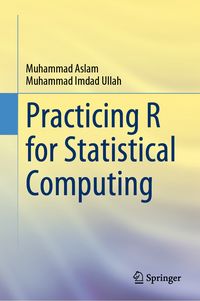 Produktbild: Practicing R for Statistical Computing
