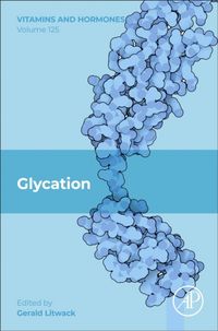 Produktbild: Glycation: Volume 125