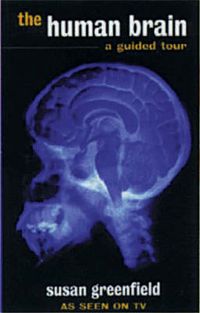 Produktbild: Human Brain