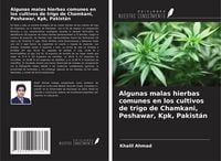 Produktbild: Algunas malas hierbas comunes en los cultivos de trigo de Chamkani, Peshawar, Kpk, Pakist&aacute;n