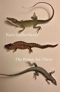 Produktbild: The Bones Are There