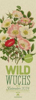 Bild vom Artikel Wildwuchs - Botanische Illustrationen - Graspapier-Kalender 2024 vom Autor Anne Pratt