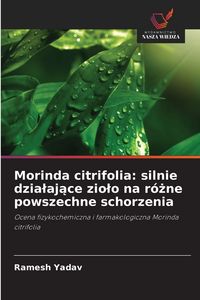 Produktbild: Morinda citrifolia: silnie dzia&iquest;aj&iquest;ce zio&iquest;o na r&oacute;&iquest;ne powszechne schorzenia