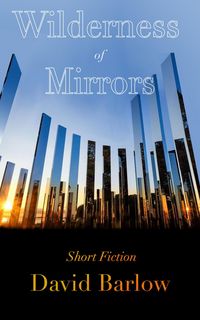 Produktbild: Wilderness of Mirrors